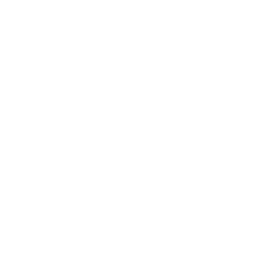 Logotipo de Model Context Protocol